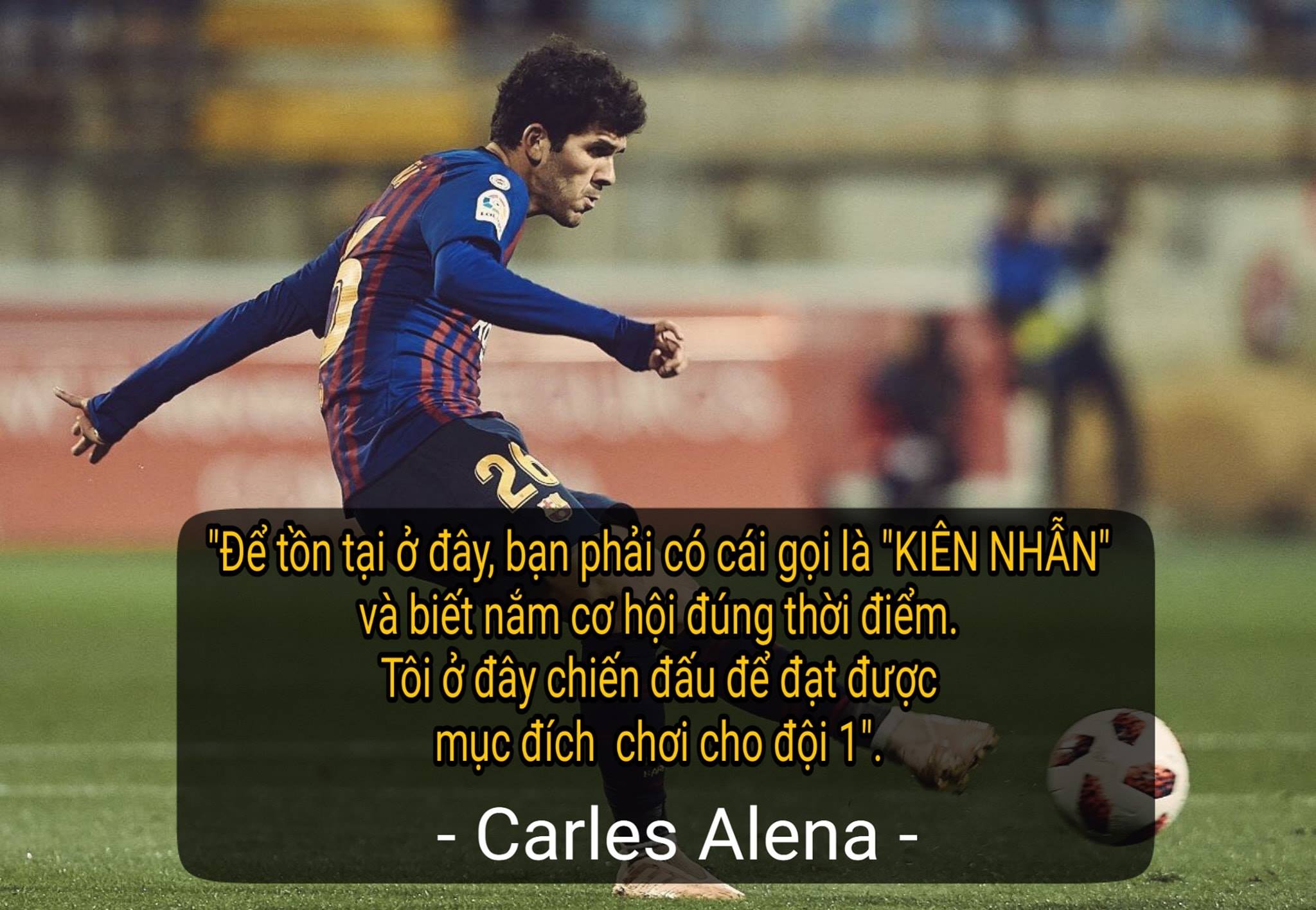 Alena quote